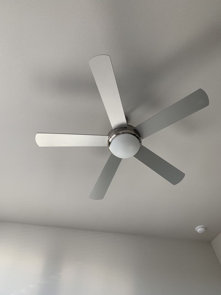 Ceiling Fan Installations in Napier